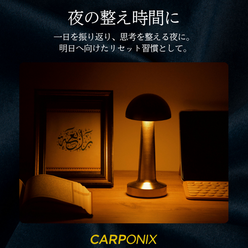 0018 Father's Day Gift<BR>CARPONIX R<BR>In CAPSULE<BR>